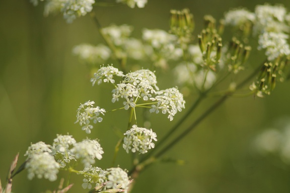 Week-end-parempuyre-mai-2014-20