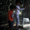 Enfants, zoo de la Palmyre