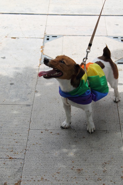 gay-pride-bordeaux-2014-35