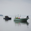 Bateaux au Petit Canon