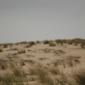 Dunes de la Plage de la Pointe du Cap-Ferret