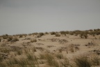 Dunes de la Plage de la Pointe du Cap-Ferret