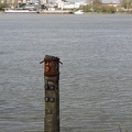 Bordeaux-pont-Saint-Jean-056