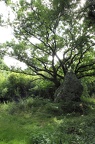 Balade aux menhirs des Grées